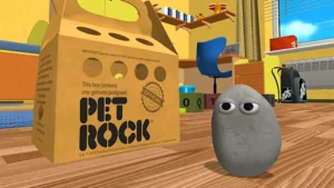 My Pet Rock