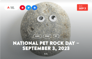 National Pet Rock Day – September 3, 2023